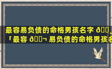 最容易负债的命格男孩名字 🌸 「最容 🐬 易负债的命格男孩名字有哪些」